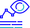 icon insights